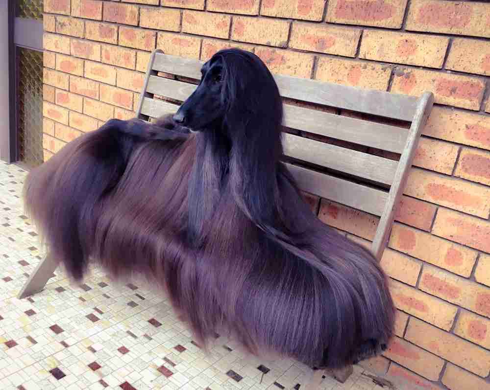 暑いけどロングヘアーの人