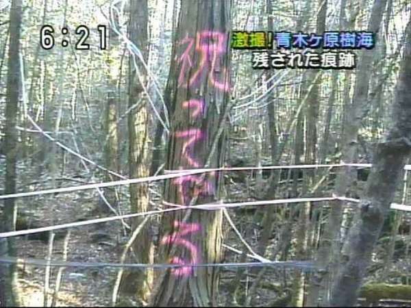 職場の人が誕生日アピールしてくる