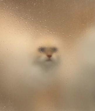【スギちゃん雑談】梅雨入りしたぜぇ、梅雨明けもするだろぉ【Part120】