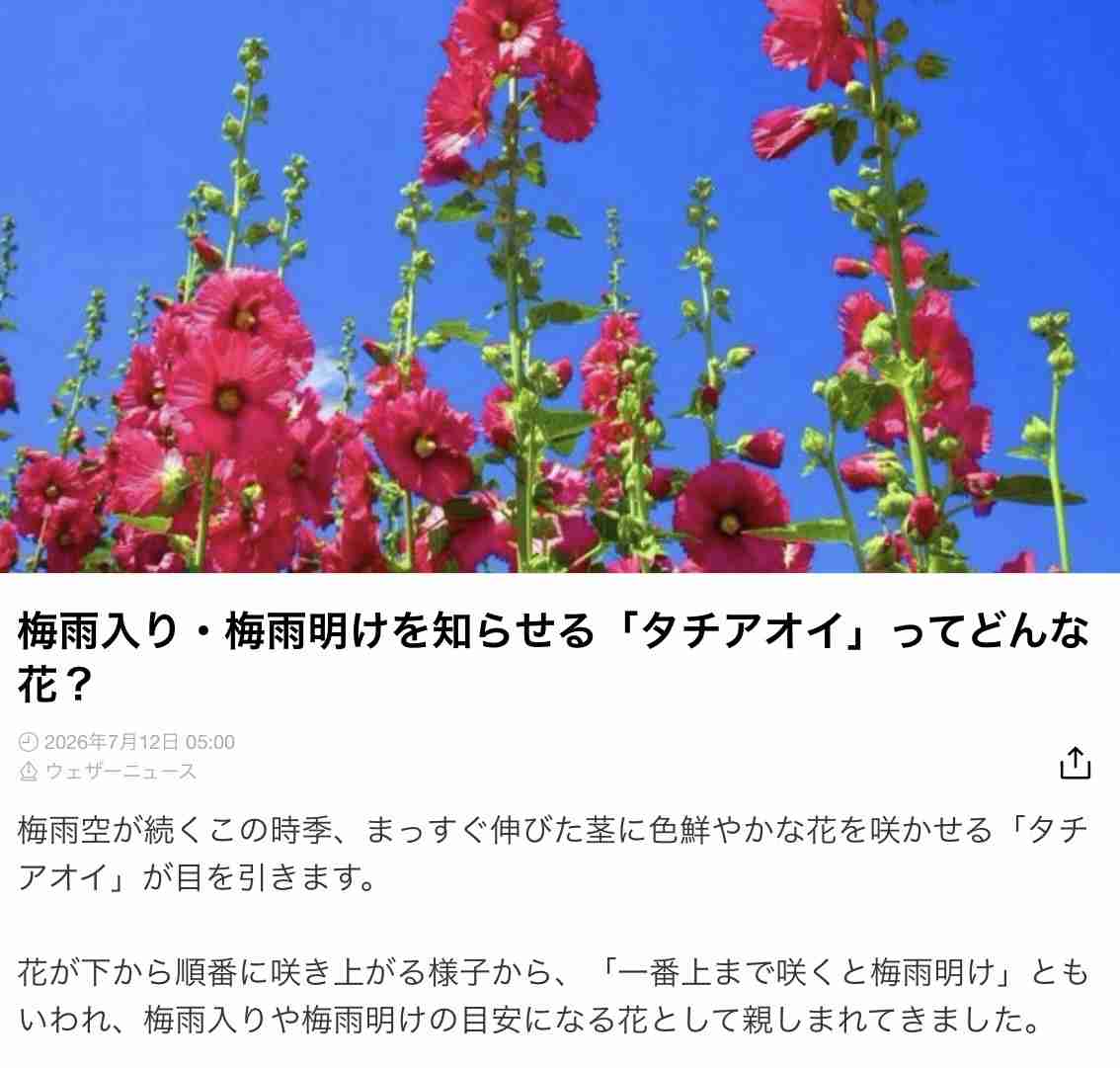 【スギちゃん雑談】梅雨入りしたぜぇ、梅雨明けもするだろぉ【Part120】