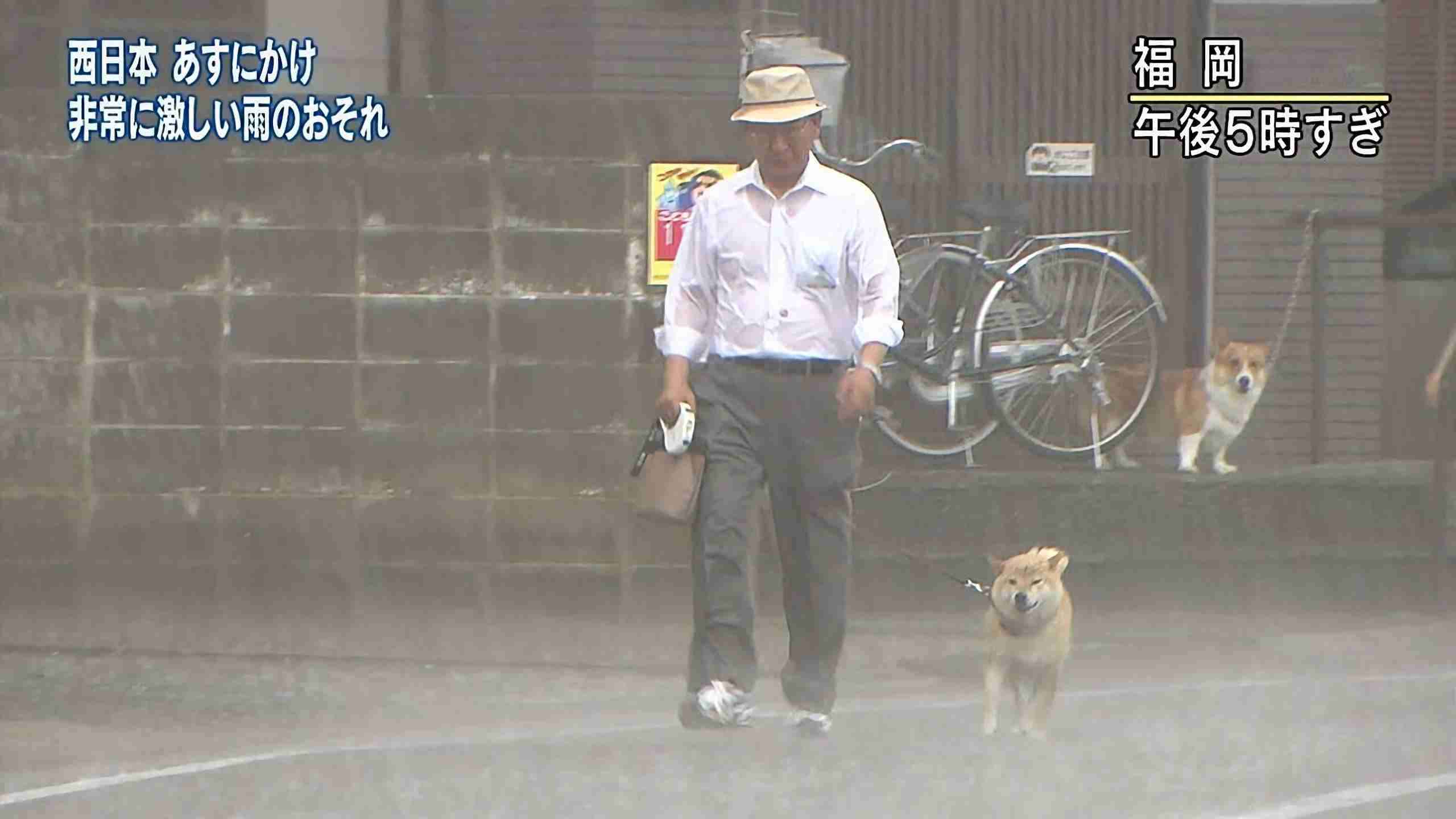 【スギちゃん雑談】梅雨入りしたぜぇ、梅雨明けもするだろぉ【Part120】