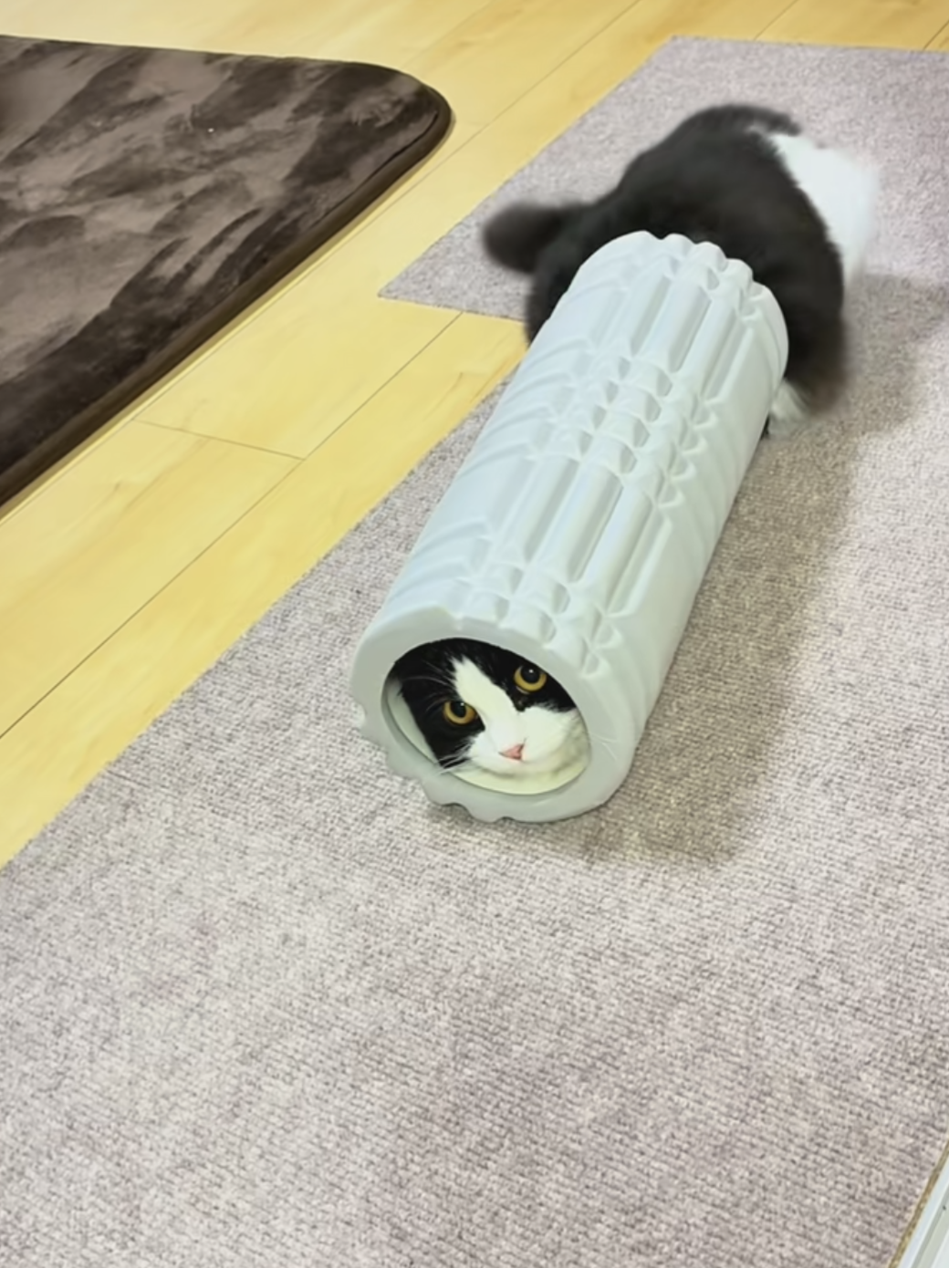 【スギちゃん雑談】梅雨入りしたぜぇ、梅雨明けもするだろぉ【Part120】