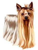 【オススメ】どんなボディケアをしてますか？
