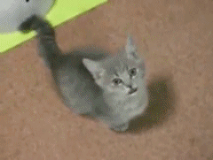 神頼みって効果あるとおもいますか？