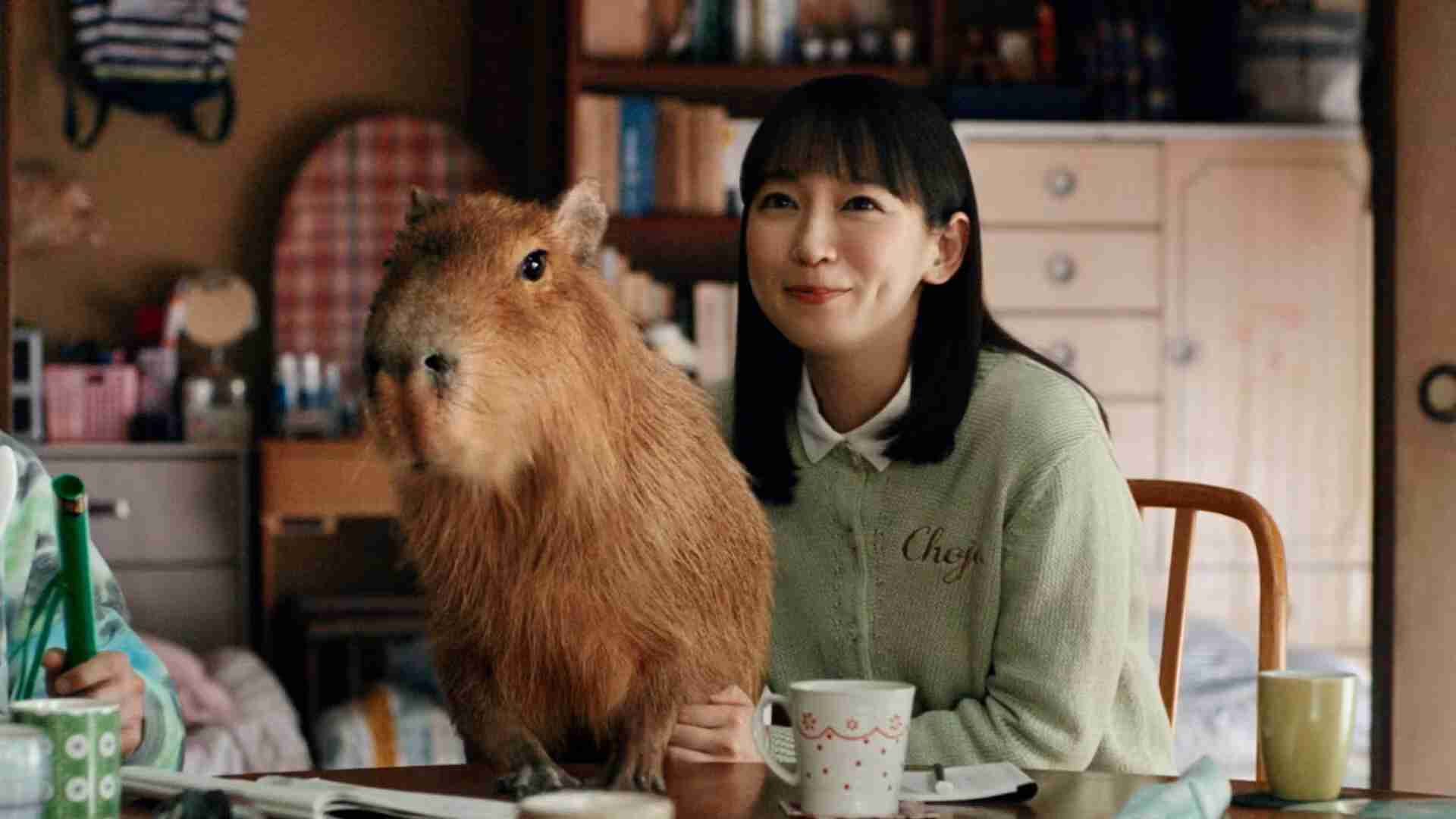 吉岡里帆の美貌を愛でたい【アンチ厳禁】