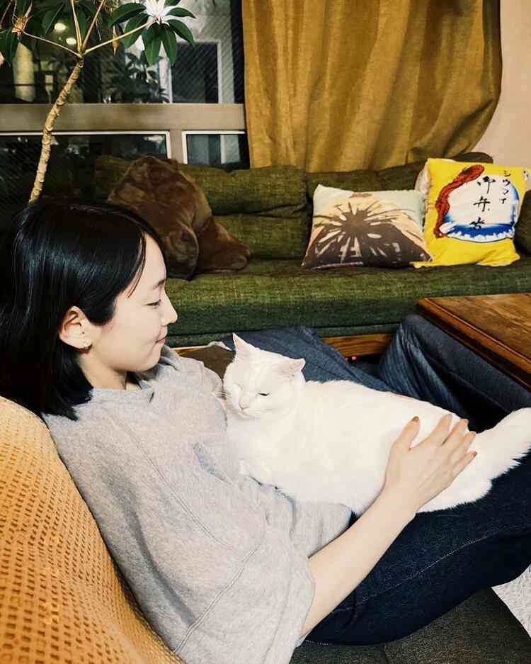吉岡里帆の美貌を愛でたい【アンチ厳禁】