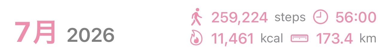 1ヶ月に何万歩歩いた?