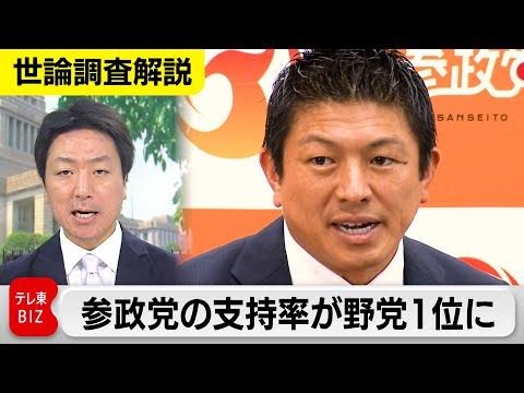 国旗損壊罪法案が参・内閣委で可決 国民民主党と参政党も賛成