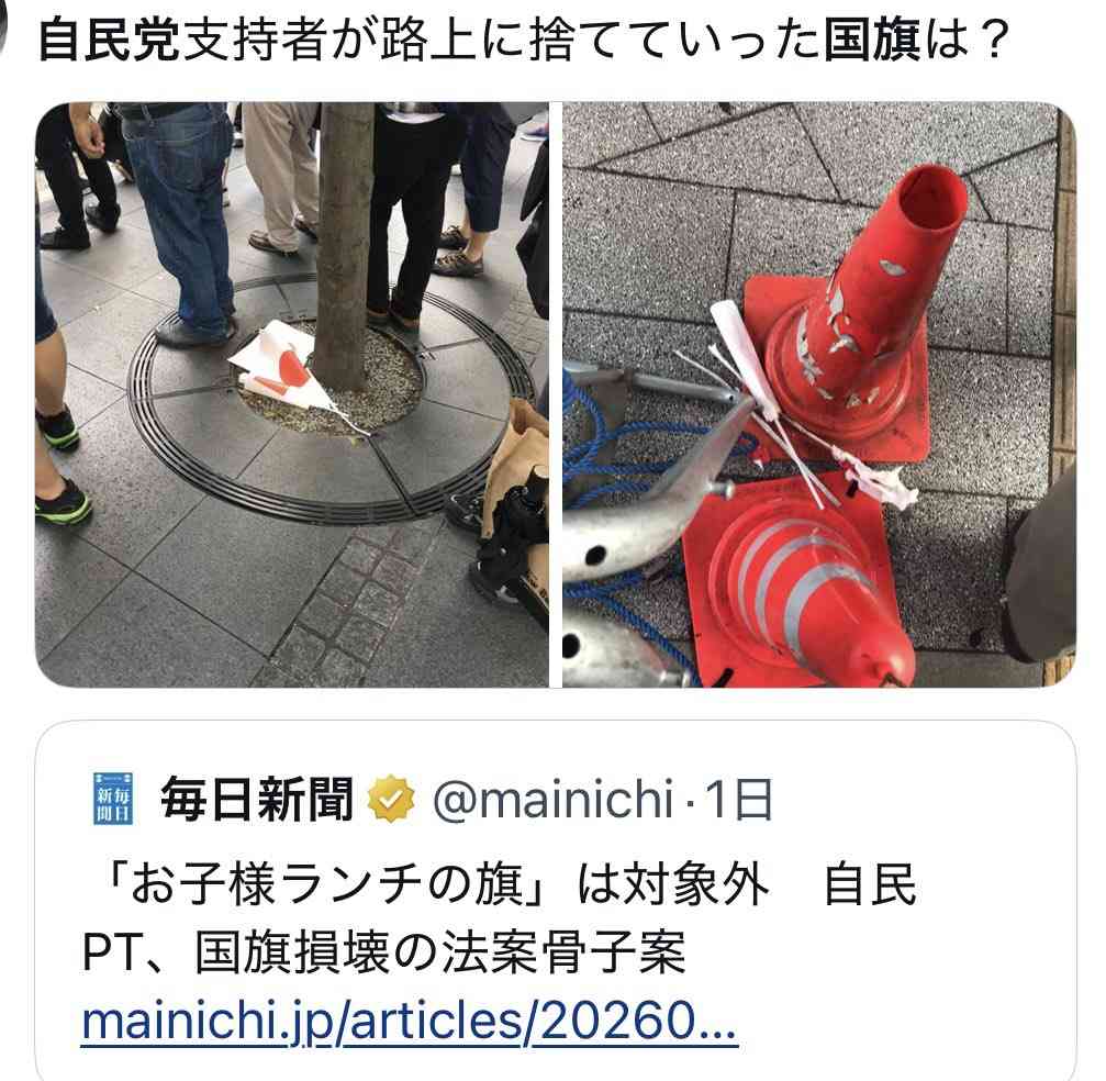 国旗損壊罪法案が参・内閣委で可決 国民民主党と参政党も賛成