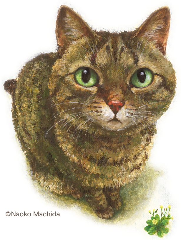 心が温まる絵本