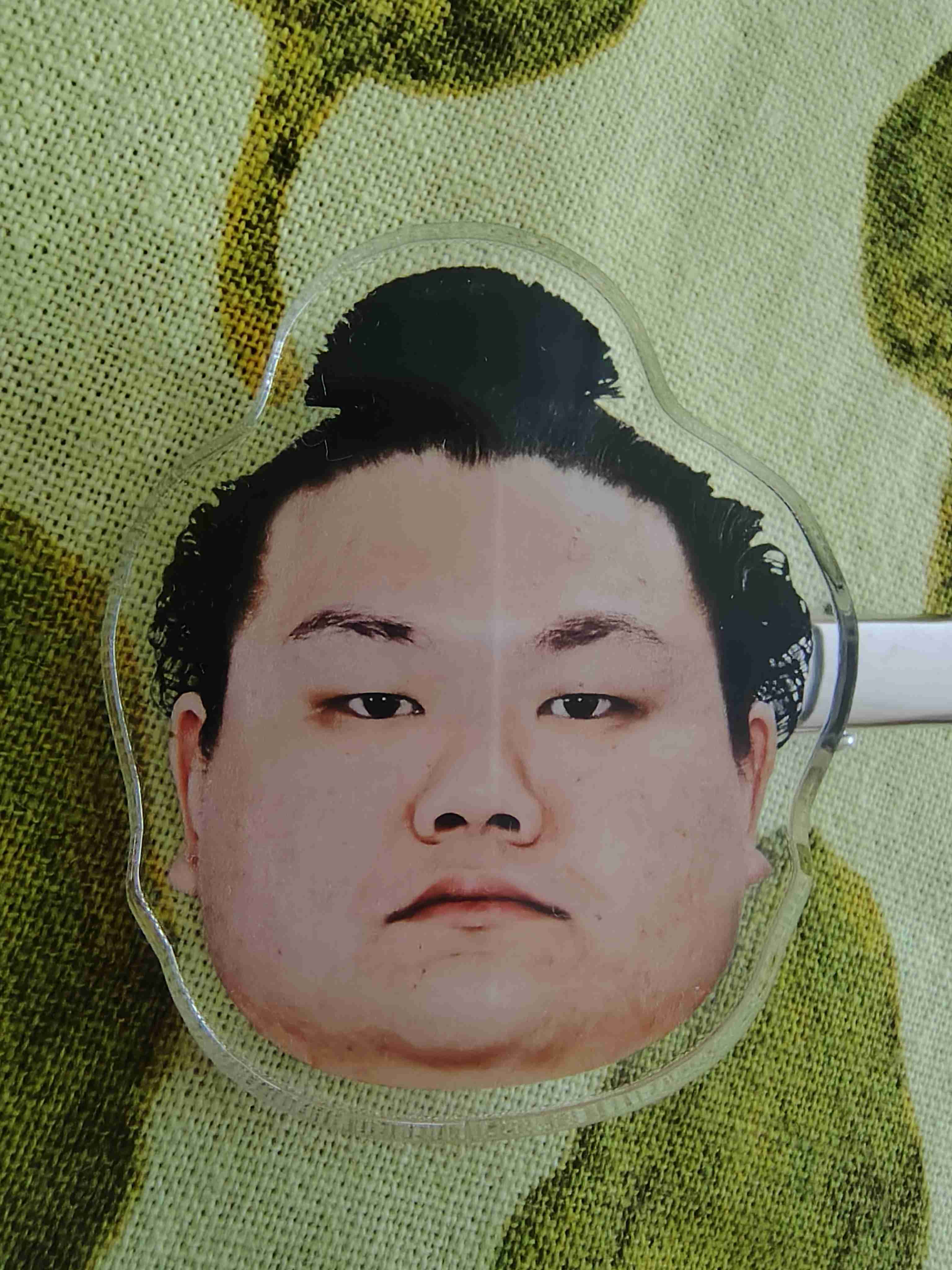 【実況・感想】大相撲名古屋場所