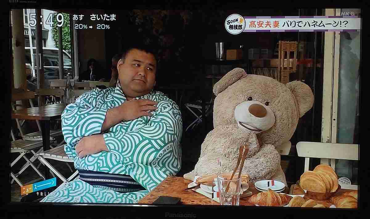 【実況・感想】大相撲名古屋場所