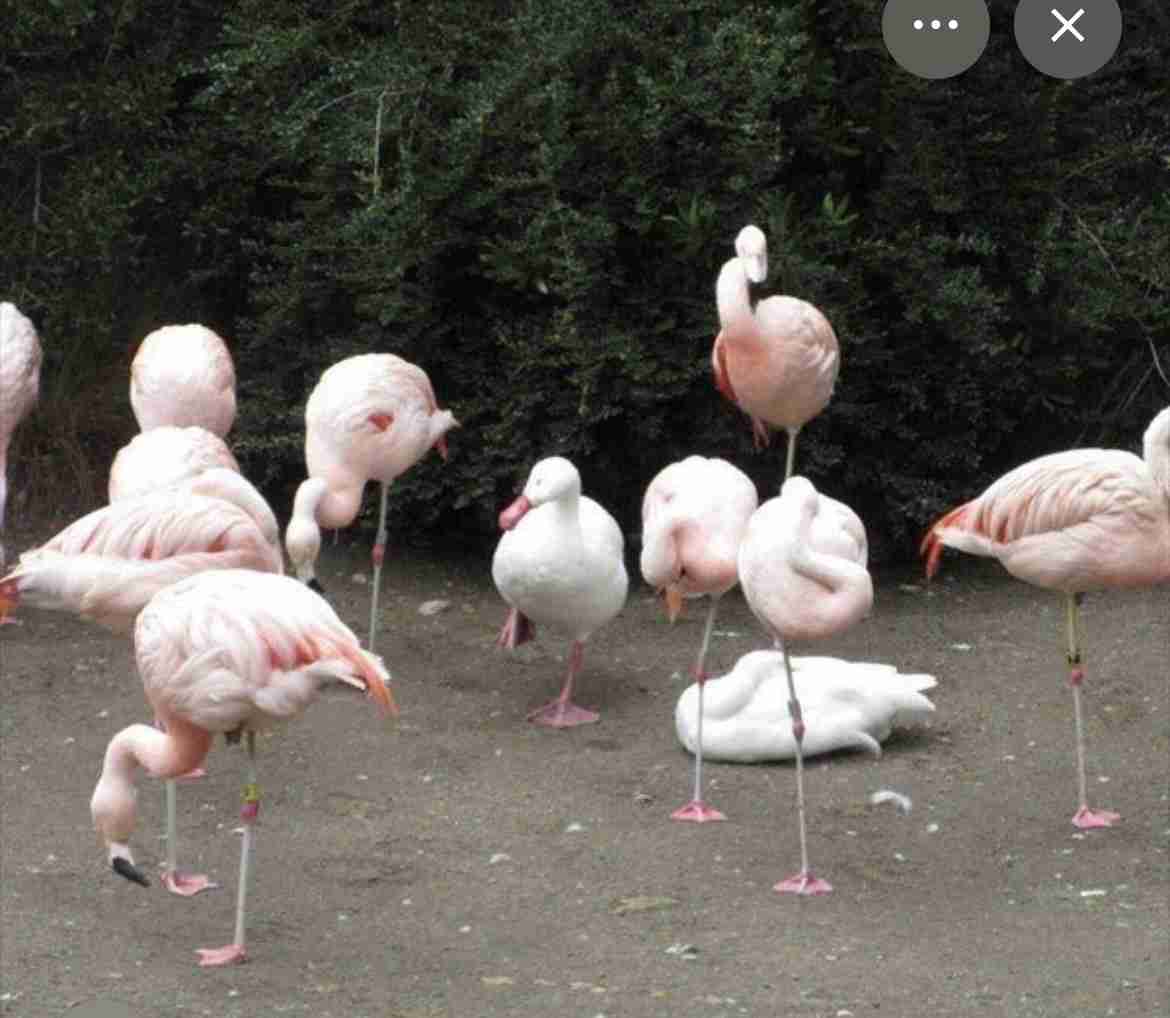 細いママさん多くないですか??