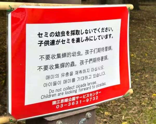 親子連れが“クワガタ乱獲”「いつかいなくなる」 夏休みの昆虫採集、マナー違反の大量捕獲に警鐘