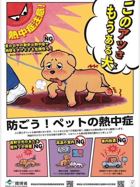 炎天下の中に繋がれている犬が発端で夫と険悪になっています。