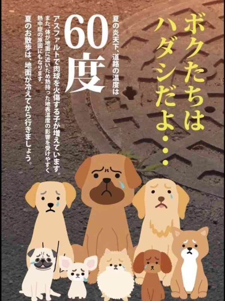 炎天下の中に繋がれている犬が発端で夫と険悪になっています。