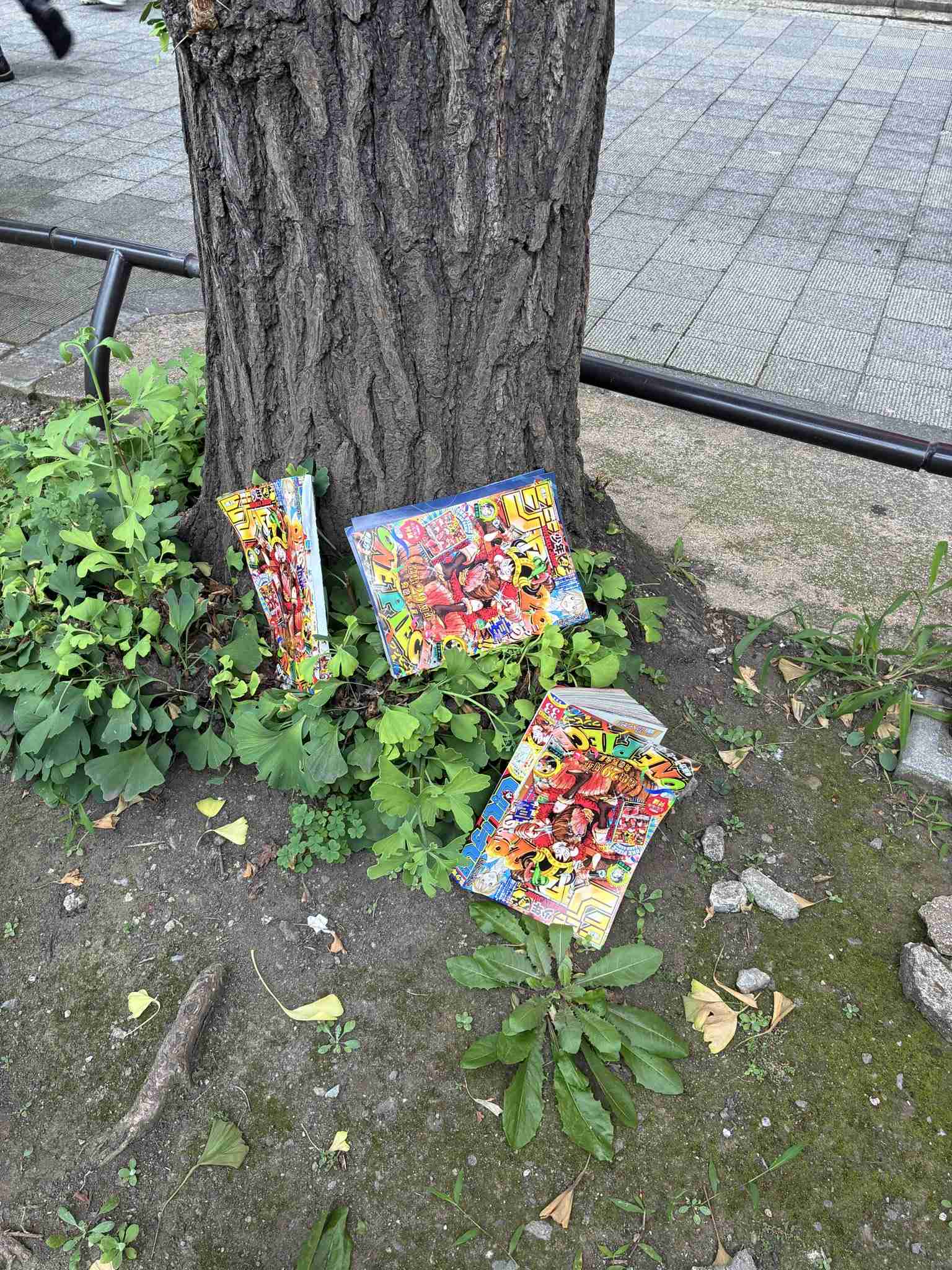 ジャンプ、異例の完売続出 読者悲鳴 朝から「ワンピース」カード目当ての行列も…高額転売も相次ぐ