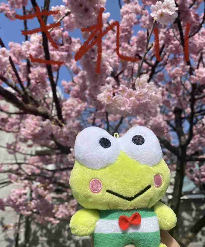 【サンリオ】けろけろけろっぴ好きな方【祝 お誕生日】