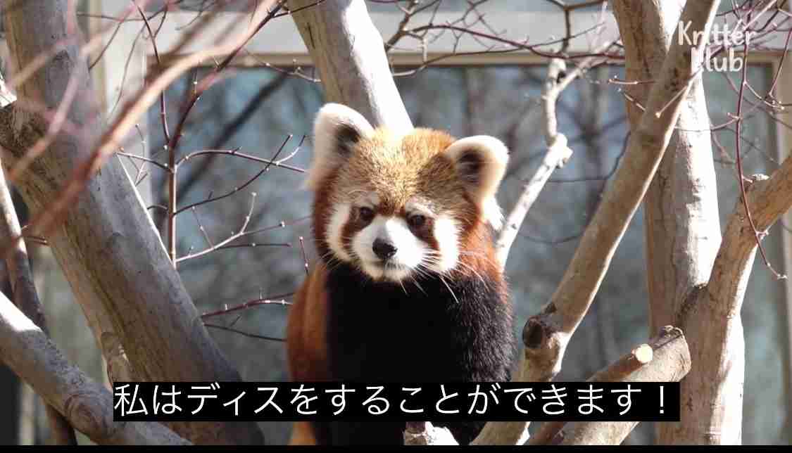どうでも良い事に厳格なお局