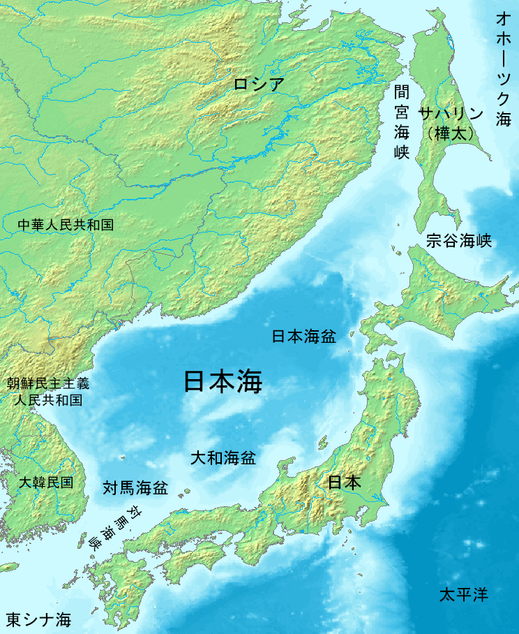 これがなければ生きやすいのに、ってこと