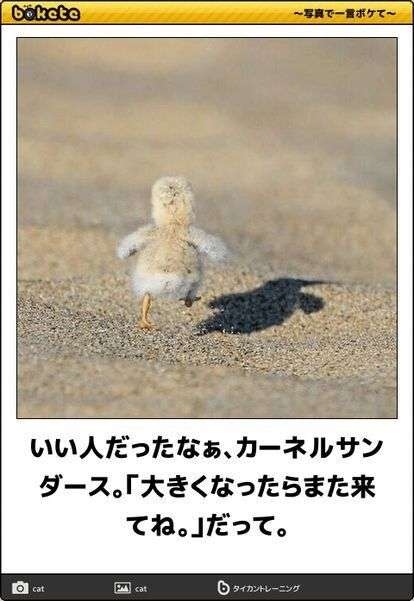 気配りが過ぎる人