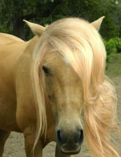 【目の保養】ウェーブヘアのイケメンが見たい