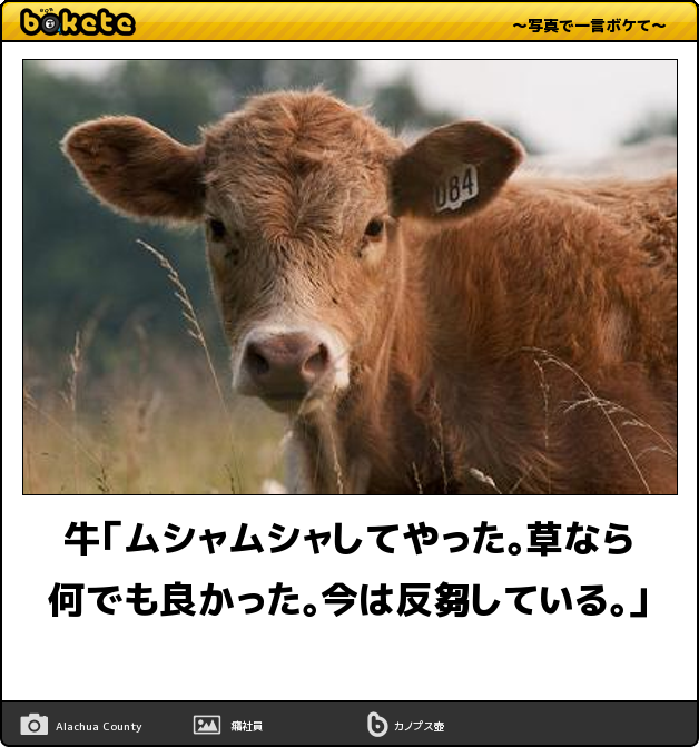 【独自】「誰でも良かった」逮捕の男が供述 刺したこと認める 男女4人刺傷事件 被害者と面識なし 大分