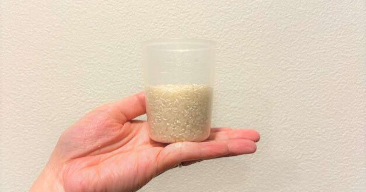 【一食】白米何グラム食べてる？
