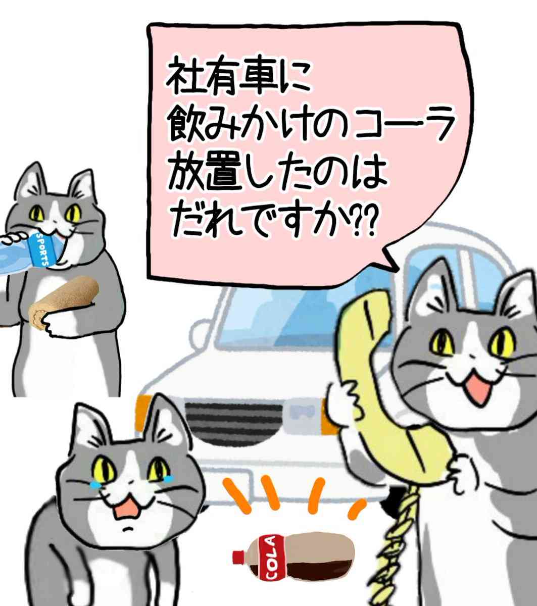 食事中のマイルールありますか?