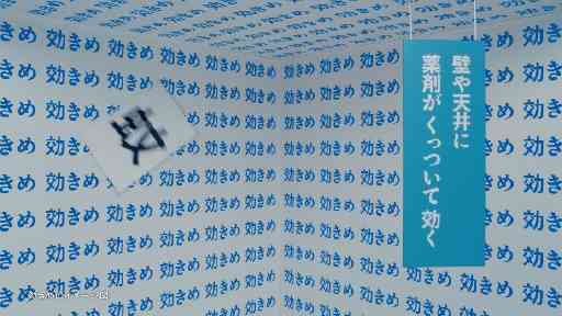 【閲覧注意】色んな集合体の画像を集めようPart7