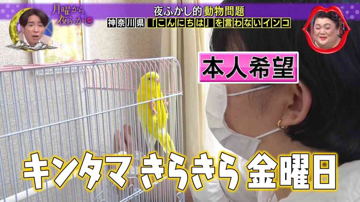 マツコ・デラックス、飼いたいペット告白も飼わず…「怖い。ペットロスを考えて」