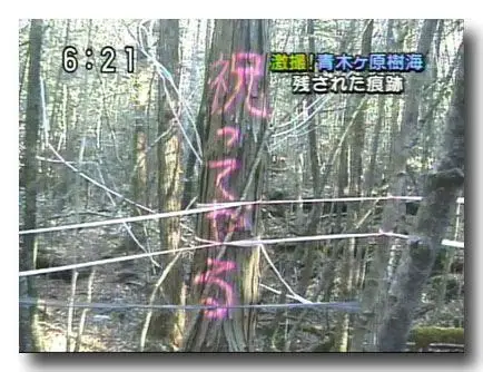人に呪いをかけたことはありますか?