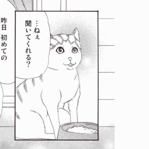 優しい画像で浄化されるトピpart３【GIFもあり】
