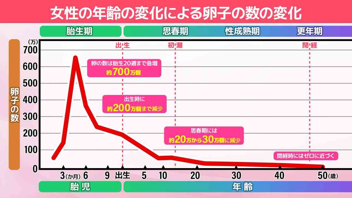 日本の既婚女性ら37%不妊経験 国際的水準の2倍以上