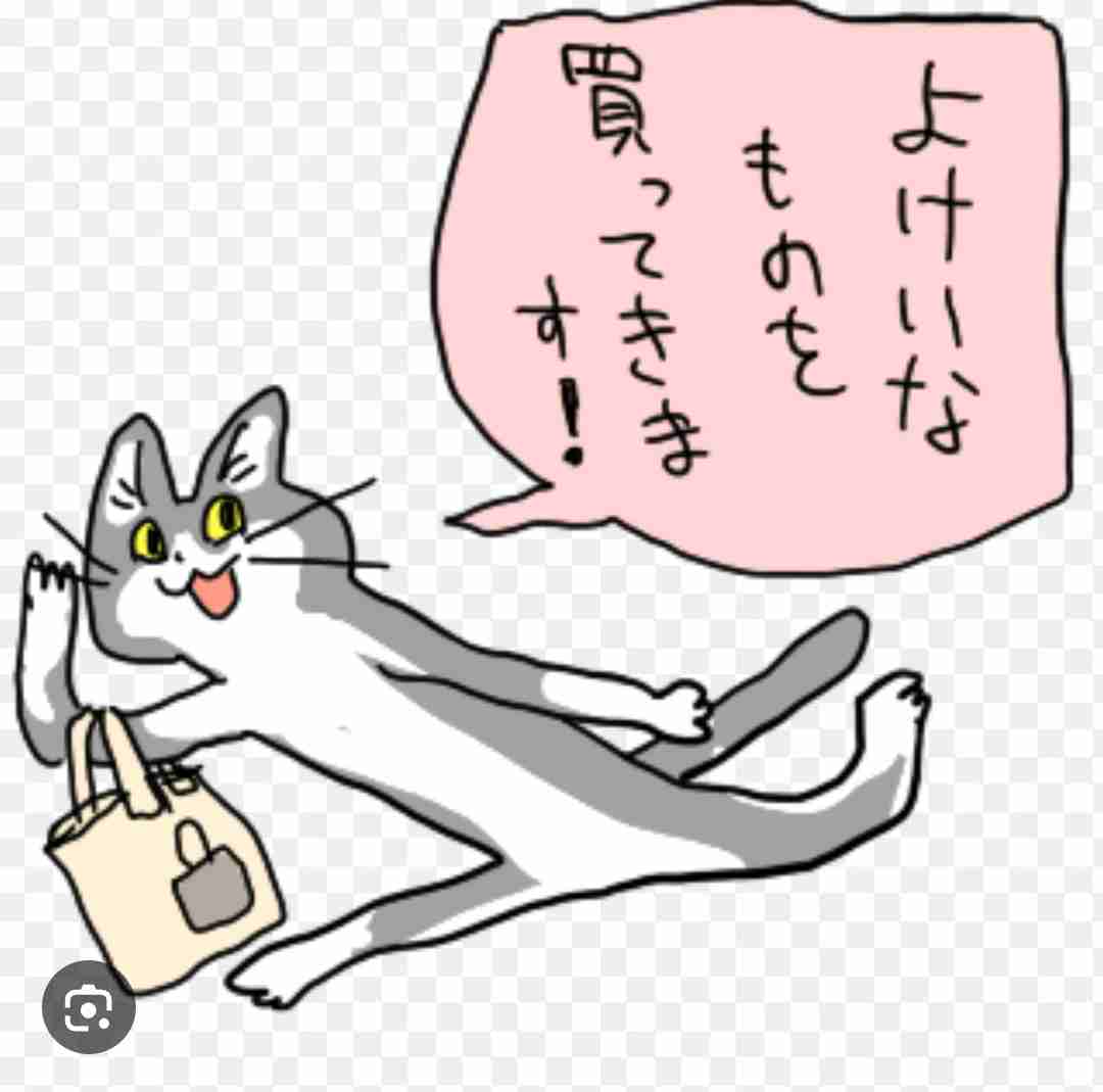 いらんもん買っちゃう人