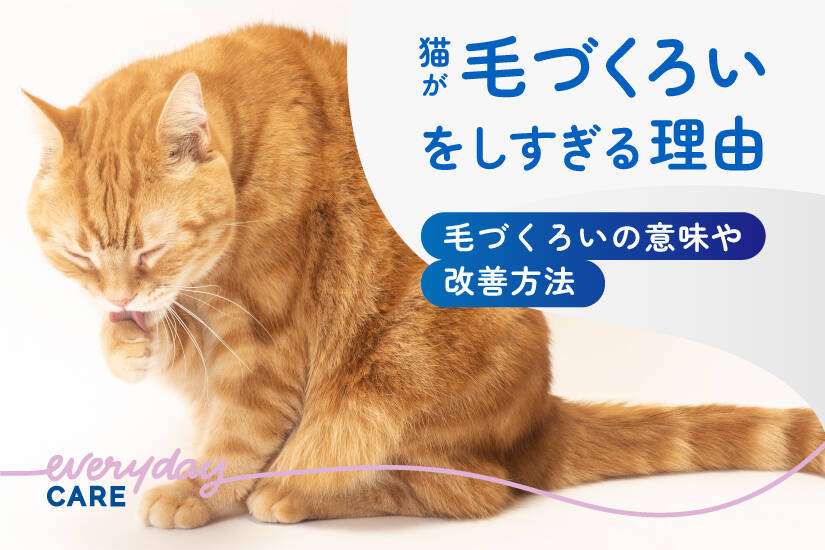 旅行って潔癖症にはつらいですよね