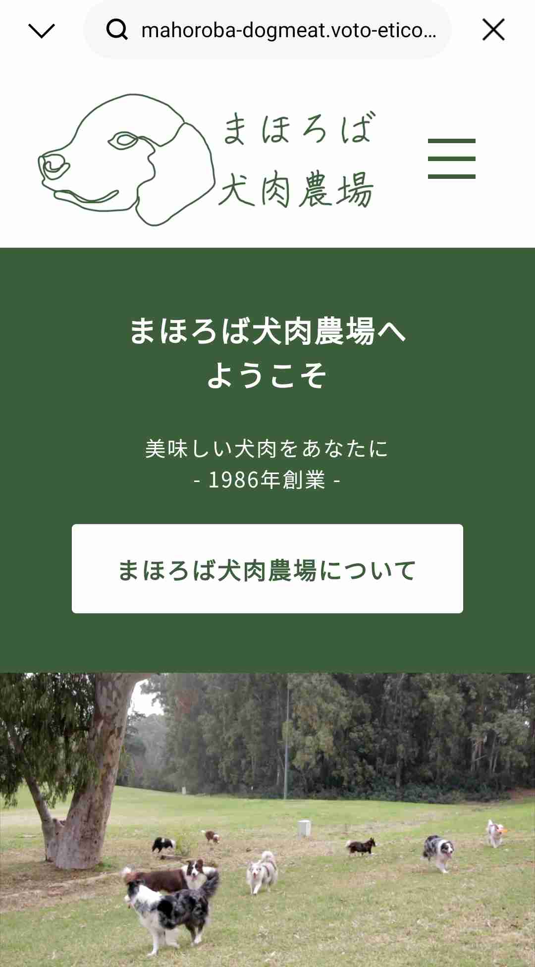 韓国「犬肉禁止法」施行へ 葛藤する現場 45年続く犬肉店 生き残りかけヤギ料理