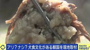 韓国「犬肉禁止法」施行へ 葛藤する現場 45年続く犬肉店 生き残りかけヤギ料理