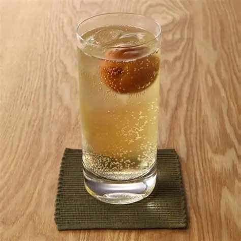 炭酸水で割ったら美味しい飲み物