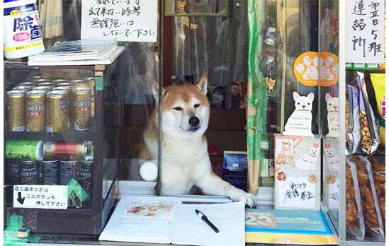 動物がいる店