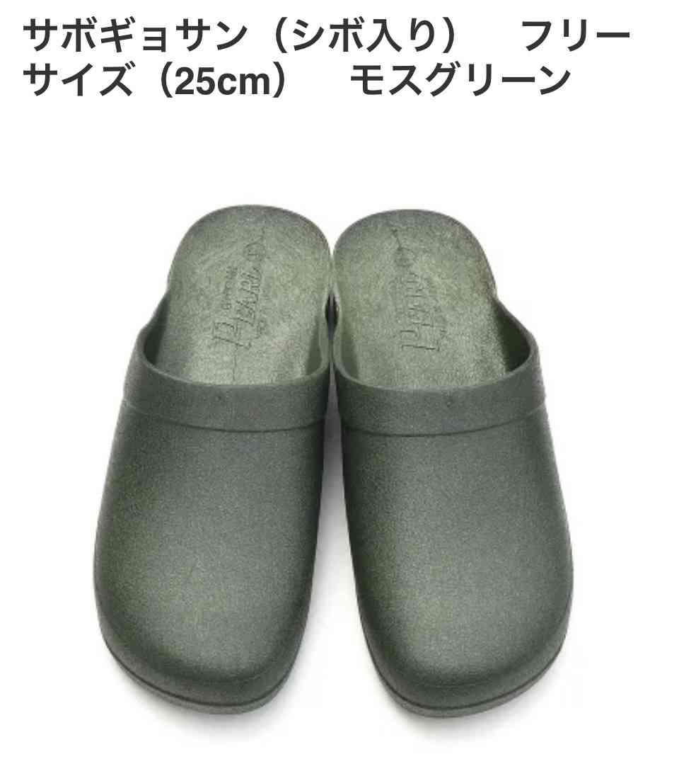 🩴ビーチサンダル🩴