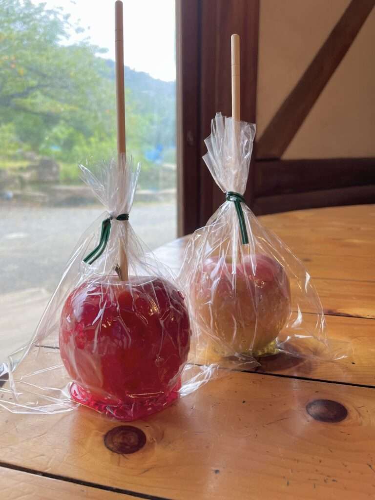 屋台の食べものは汚いでしょうか?