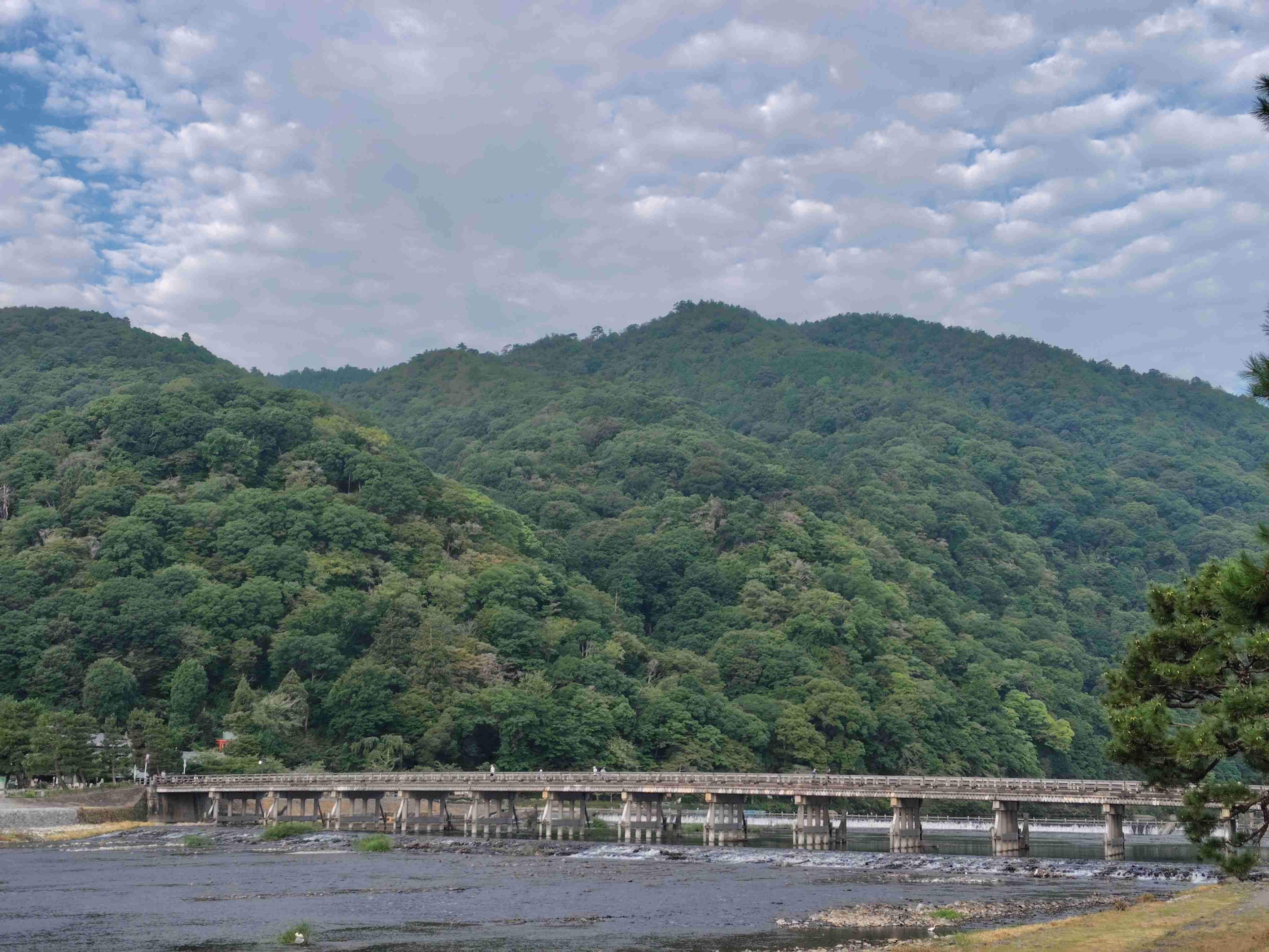 京都市民の京都市民による京都市民のためのトピ