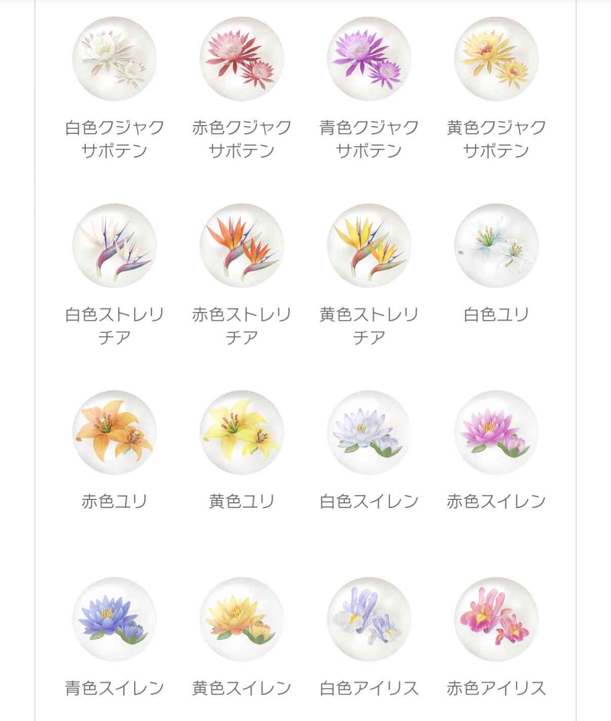 Pikmin Bloom(ピクミンブルーム)ピクミンとおでかけしよう🌺Part.32🌺