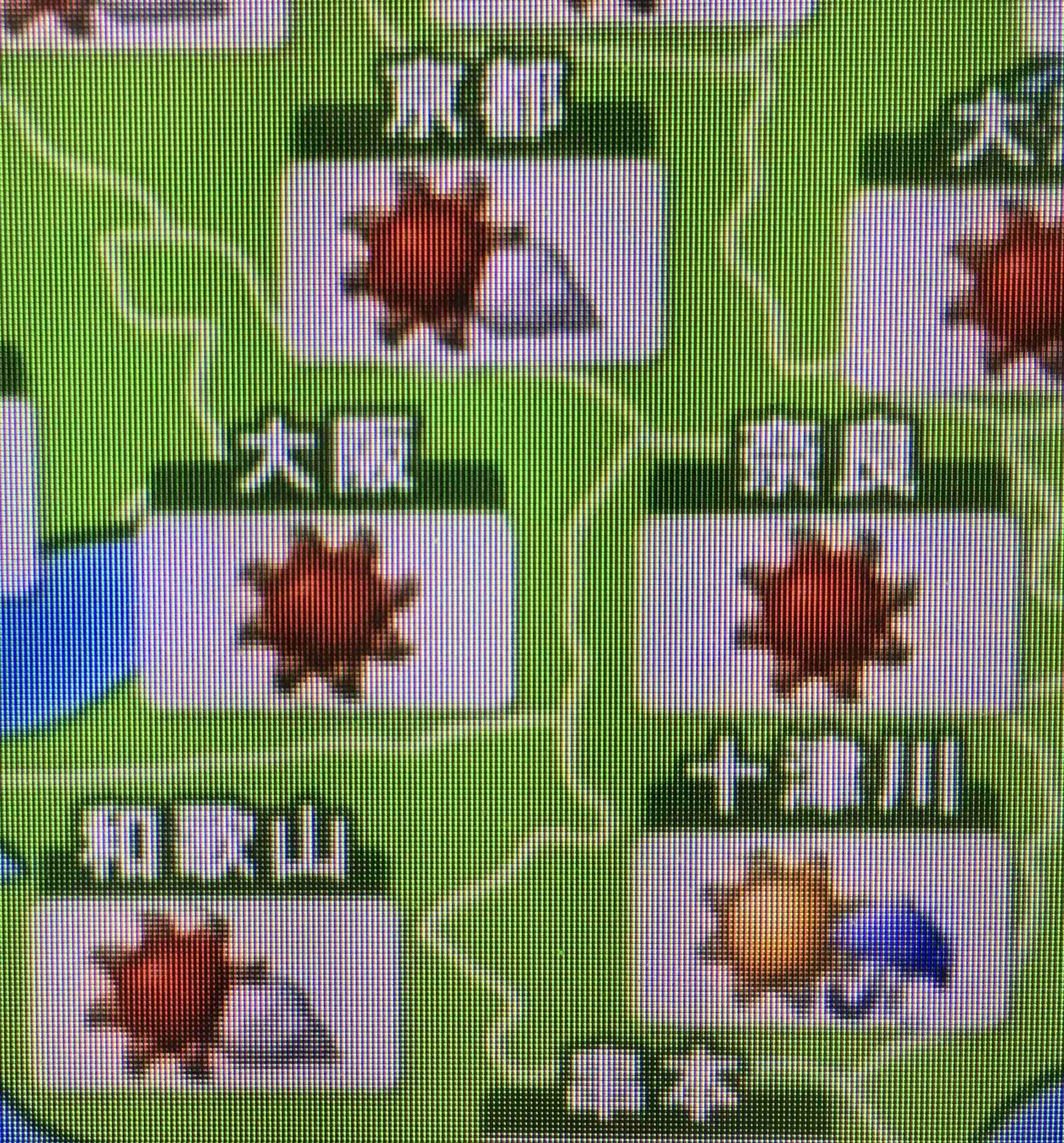 すでに暑さが限界で真夏が恐怖