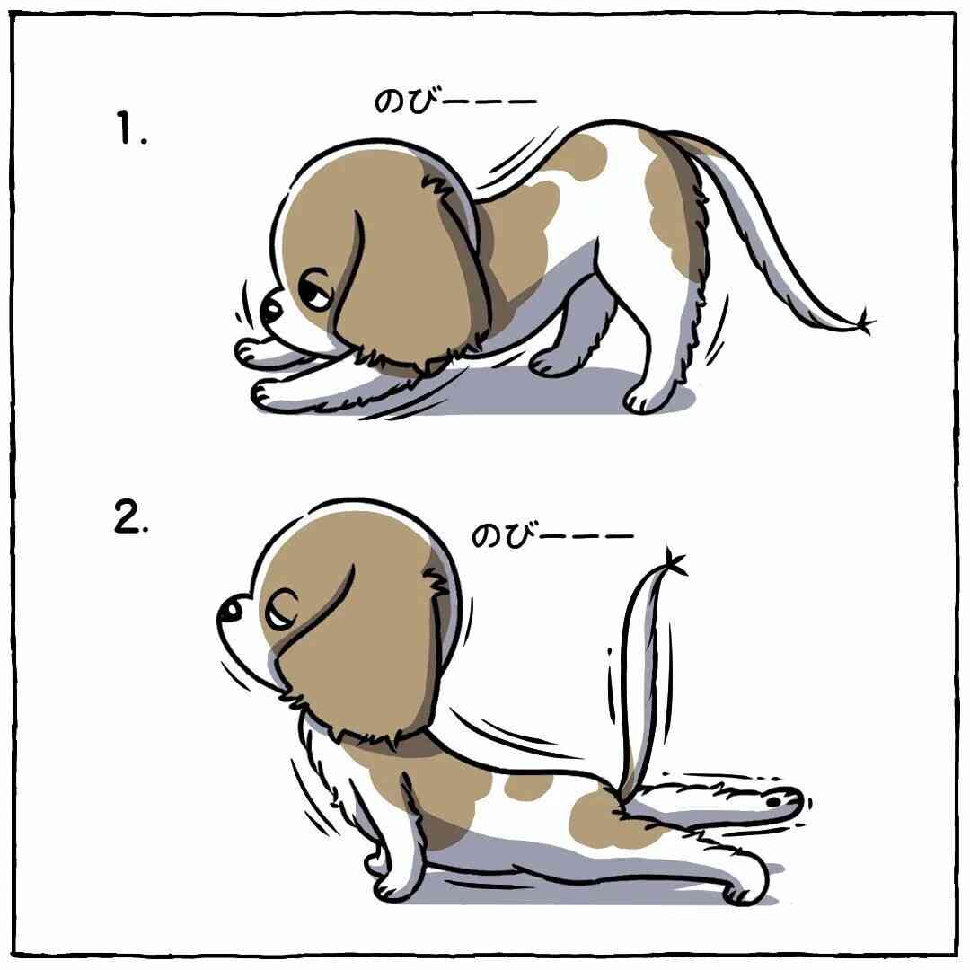 犬派？　猫派？　