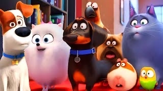 犬派？　猫派？　