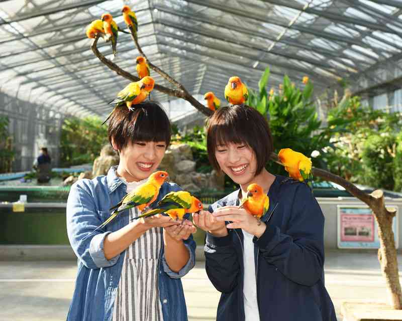 小学生を連れて楽しめる場所