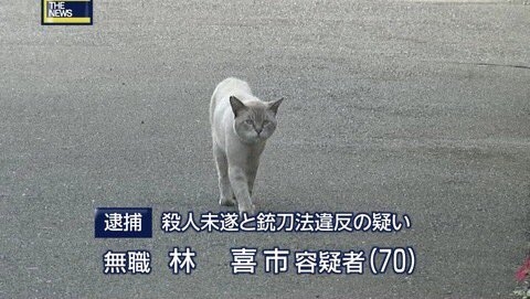 黒猫が“完全に”液体化...。極細のスキマから現れる様子に「液体どころか煙じゃねーか！」と驚きの声