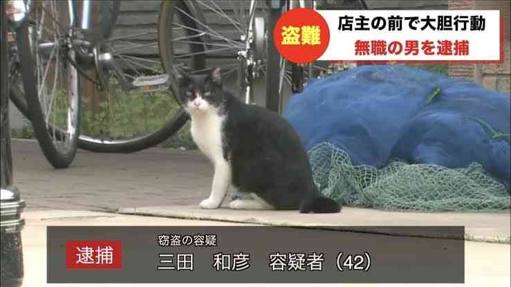 黒猫が“完全に”液体化...。極細のスキマから現れる様子に「液体どころか煙じゃねーか！」と驚きの声